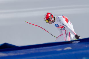 米兰真人-全国跳台滑雪锦标赛东北小将勇摘桂冠,中国跳台滑雪队 第2张 米兰真人-全国跳台滑雪锦标赛东北小将勇摘桂冠,中国跳台滑雪队 第2张